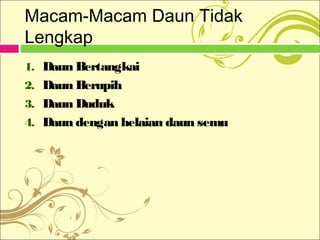 KONSEP FOLIUM (Daun) | PPT 