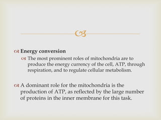 Bringing New Energy To Mitochondria Research Mit Department Of Biology