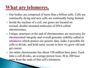 Lesson 3 Thursday 1114 Aim What Is A Telomere Ppt Download