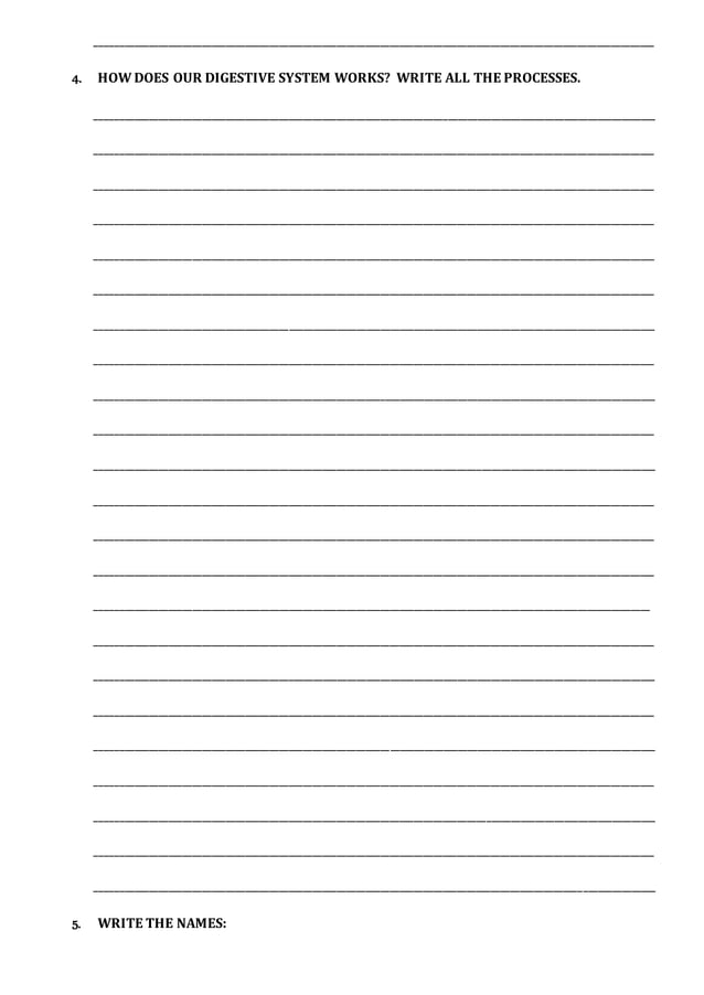 Unit 1 Digestion And Respiration Pdf