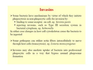 Virulence Factor Pptx Chemistry Science