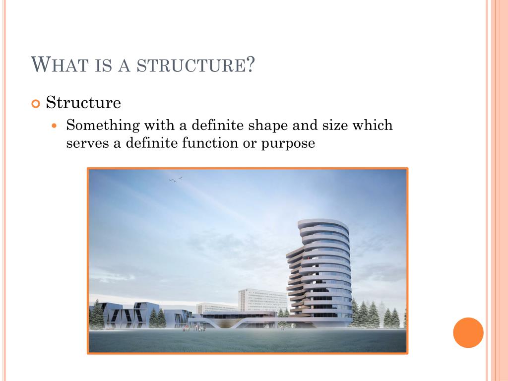 Structure Of The Chondrocytes Cartoon Vector Cartoondealer Com 83102593