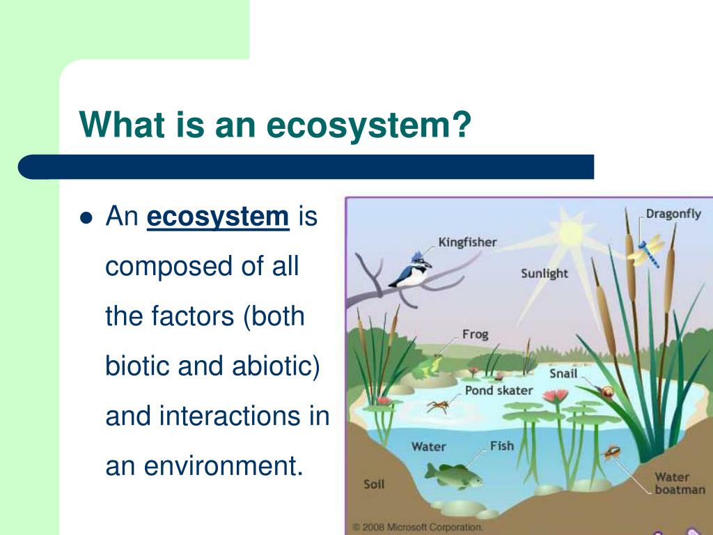 Ecosystem Services Es Trade Offs Caused By Different Policy