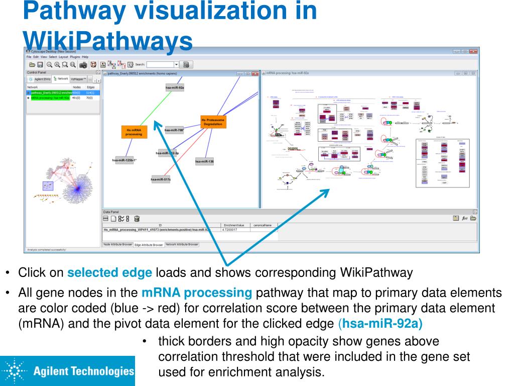 Visualization Of Network Based Pathway Enrichment Analysis The Nodes
