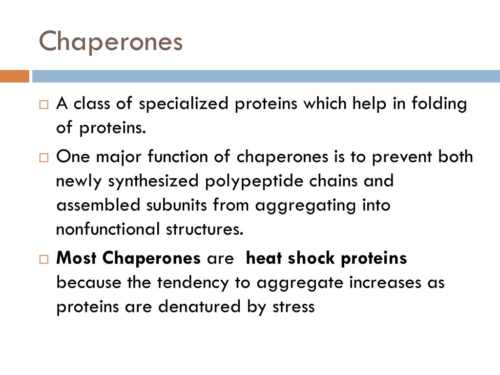 Effects Of Chaperones And Co Chaperones On Prion Propagation Download