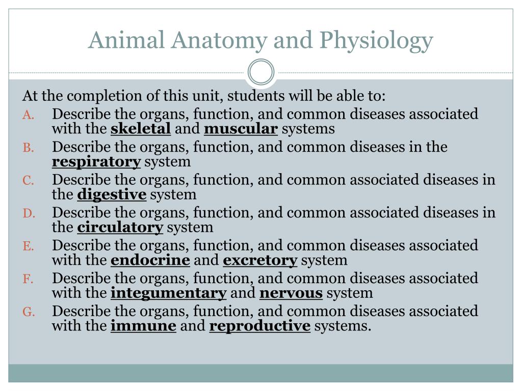 Mammalian Anatomy And Physiology Ppt