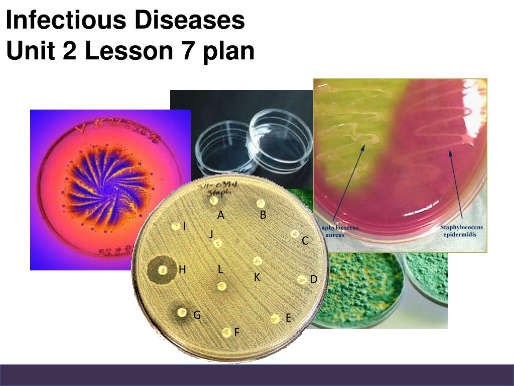 Unit 06 Human And Microbial Interaction Ppt Infectious Diseases