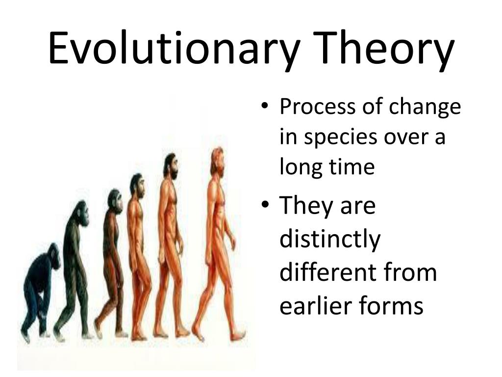 Evolutionary History Of Carnivorous Plants