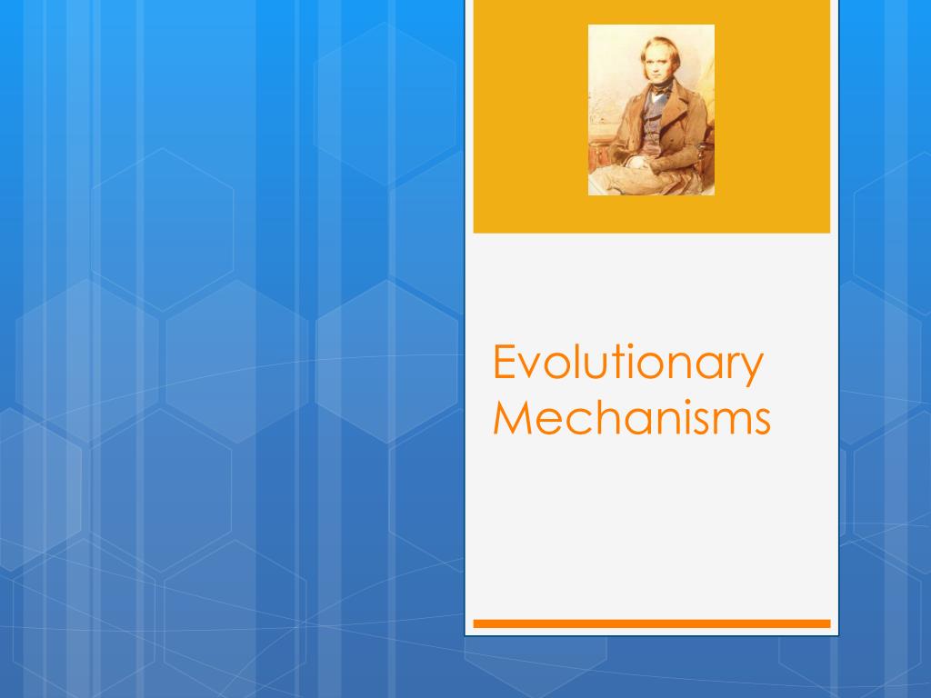 5 Evolutionary Mechanism
