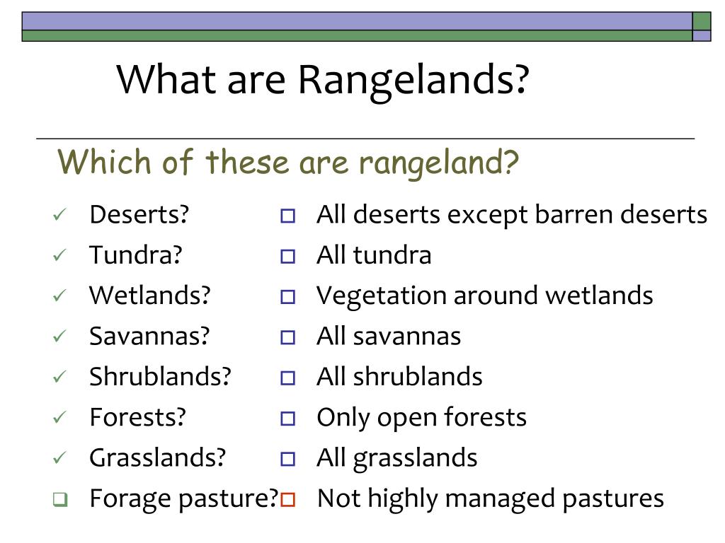 Rangeland Animals Pdf Grazing Herbivore