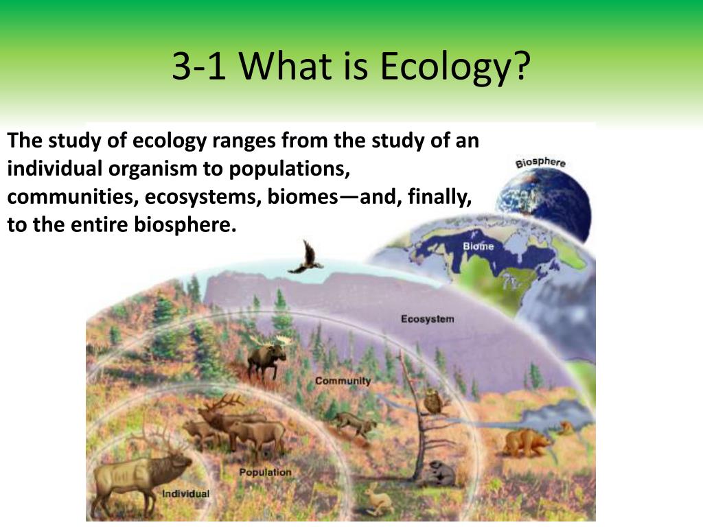 Ecology Evolution