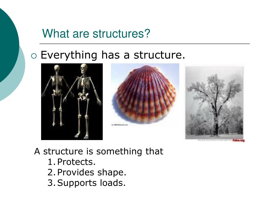 Structure Of A Mobile App