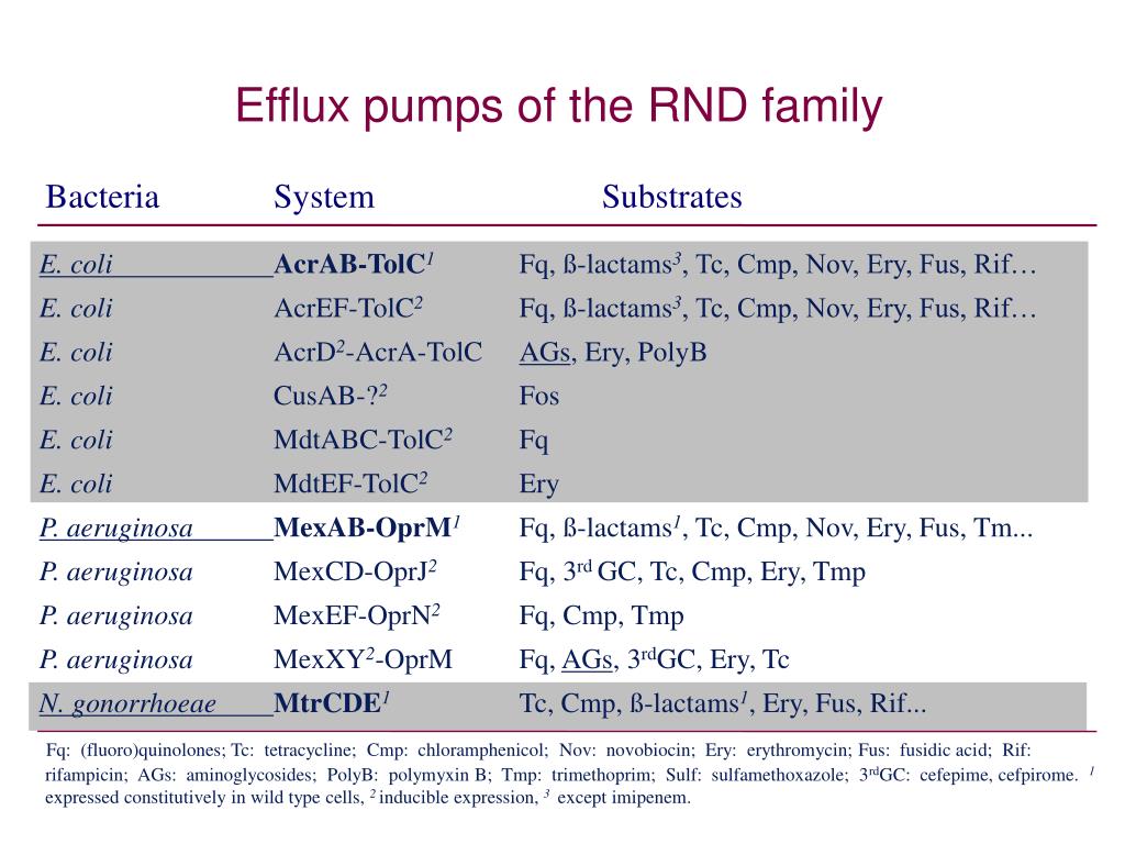 The Interplay Between Efflux Pumps And Porins From E Coli And H