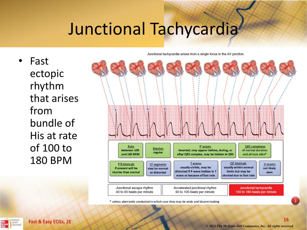 Junctional Adhesion Molecule Like Protein