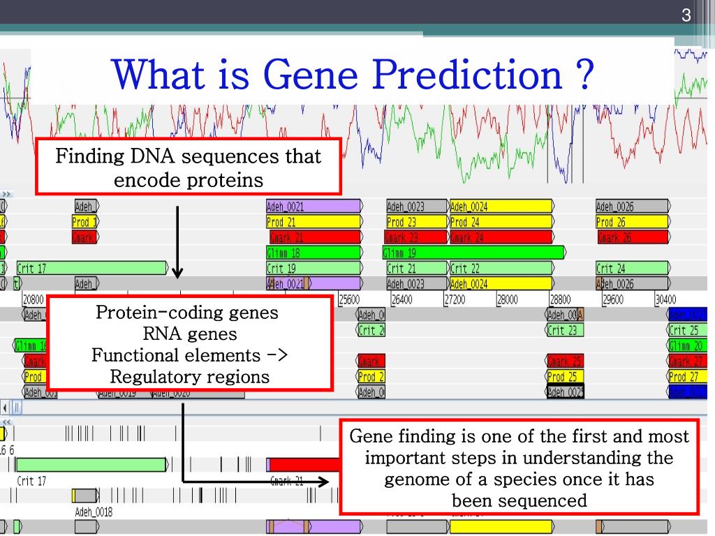 Evaluated Gene Prediction Programs Download Table