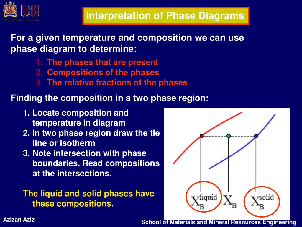 Chapter 2bis Binary Phase Diagrams Pdf Phase Matter