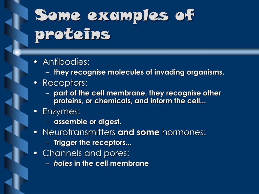 Biomolecules Proteins Structure And Function Of Biomolecules