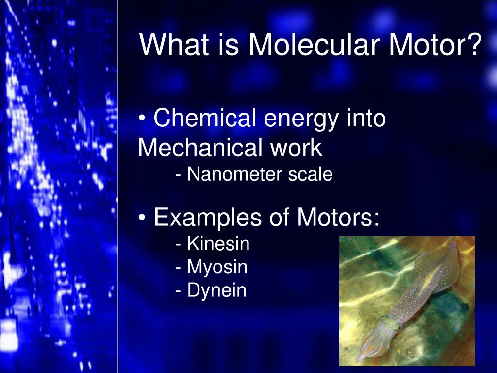 How A Molecular Motor Moves In A Network Wetenschap