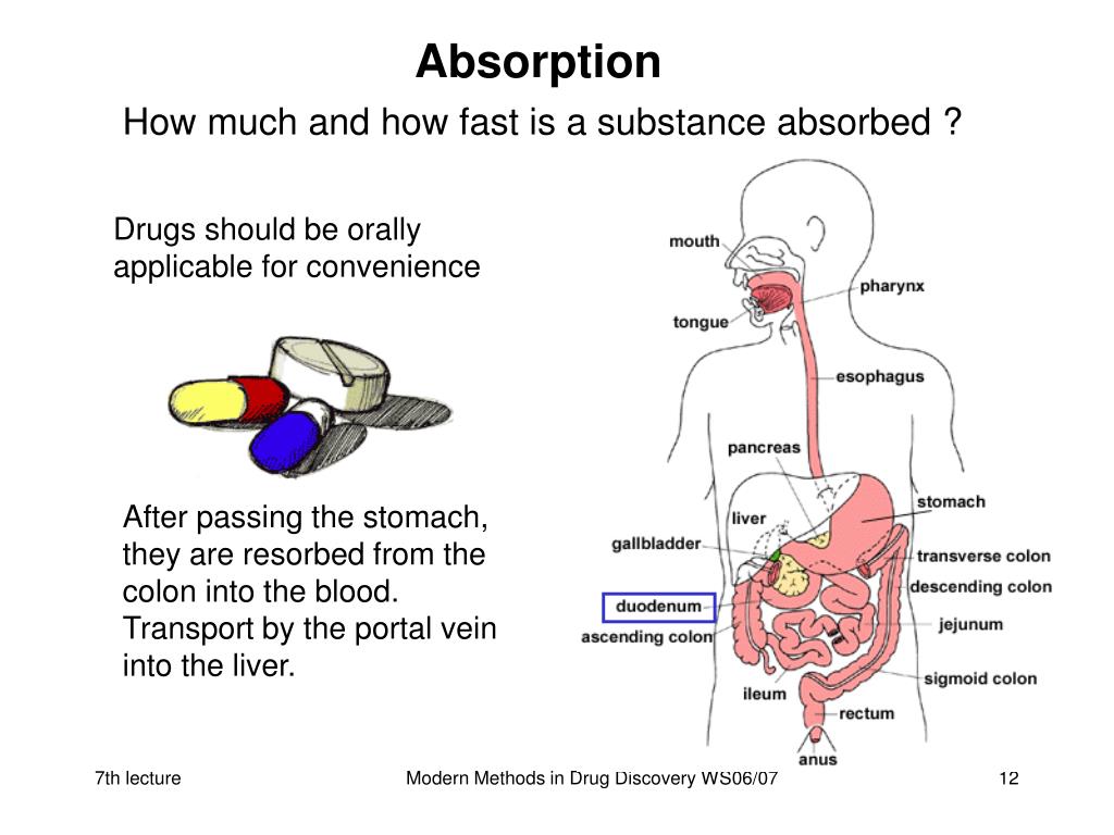 Absorption Peak Intensity Of Oxygen Containing Functional Groups Of