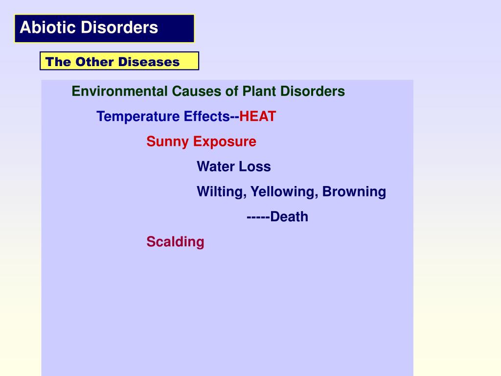 Abiotic Plant Disorders You Be The Detective