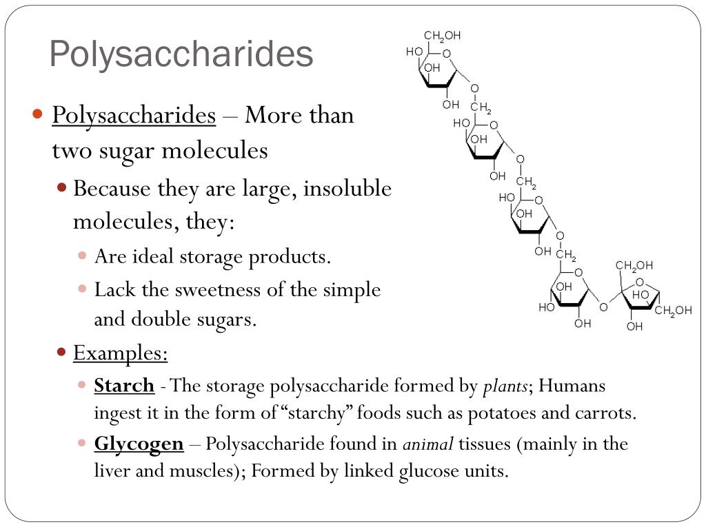 Polysaccharides For The Delivery Of Antitumor Drugs Abstract Europe Pmc