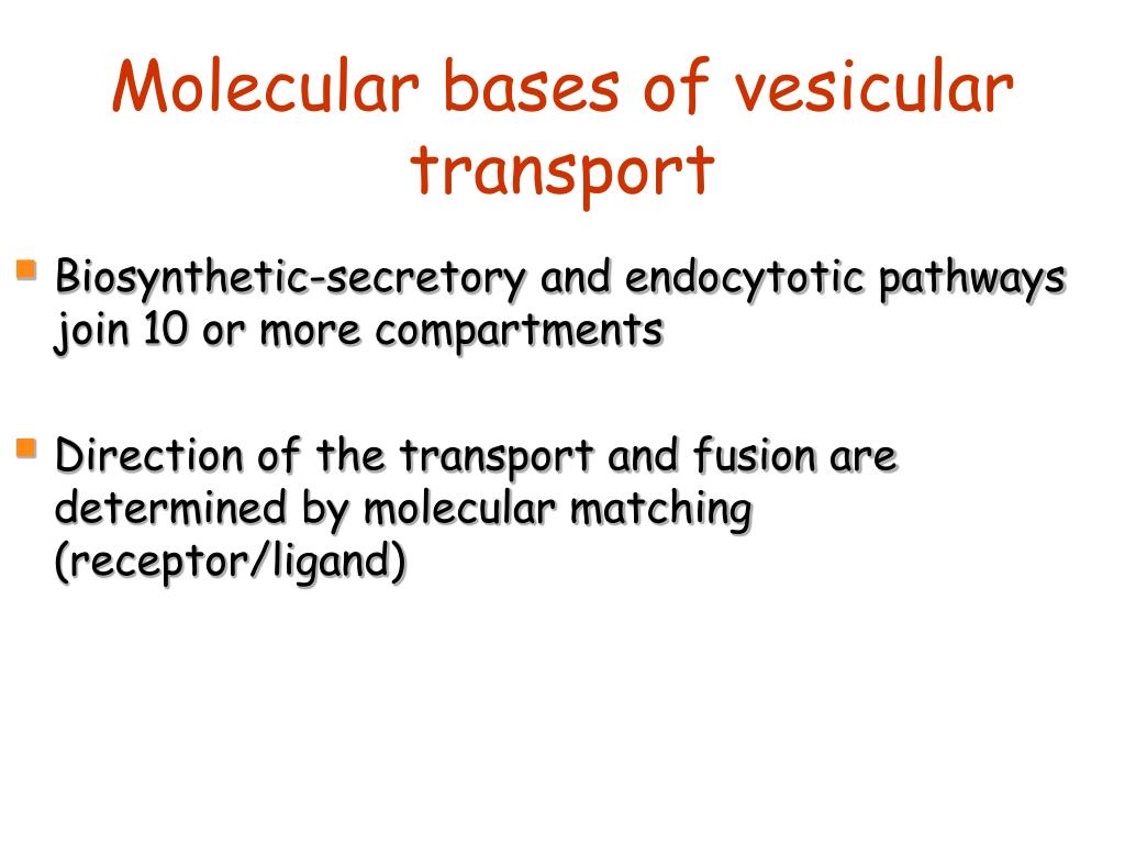 Properties Of Vesicular Transport And The Relationship To Actin