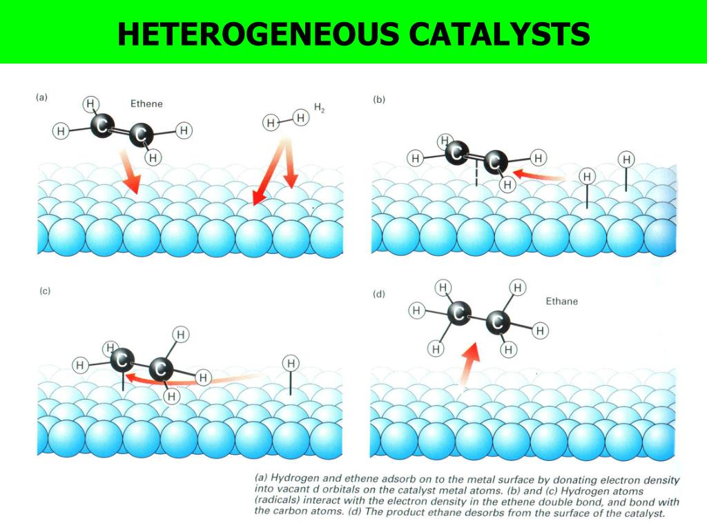 Catalysts Alloprof