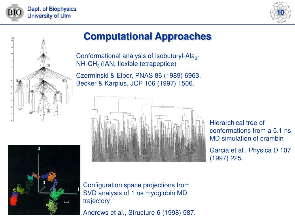 Conformational Dynamics Of Proteins Computational Biophysics Group