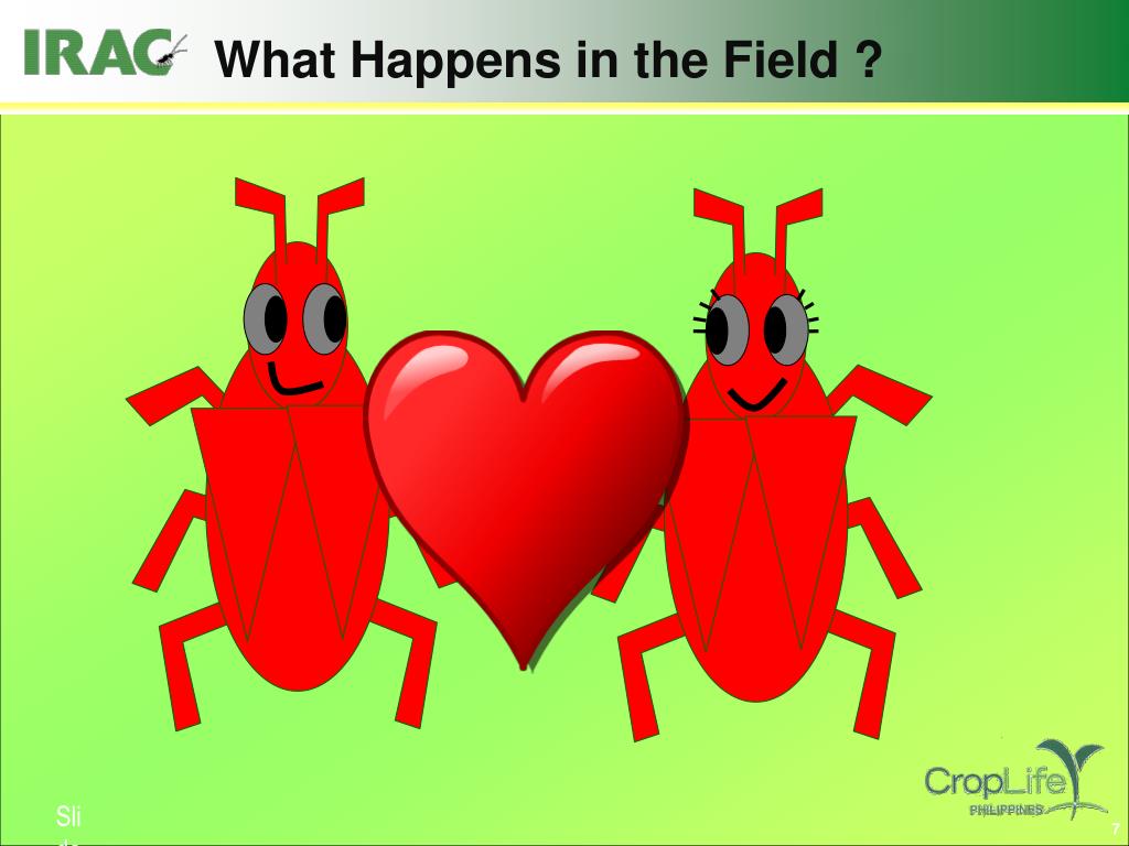 Insecticide Resistance The Journal Of Agricultural Science