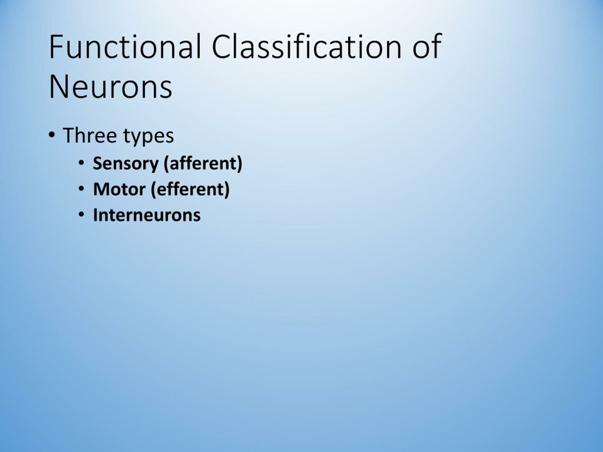 Levels Of Functionality And Organization Of Neurons Download