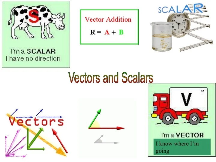 Scalars And Vectors Difference
