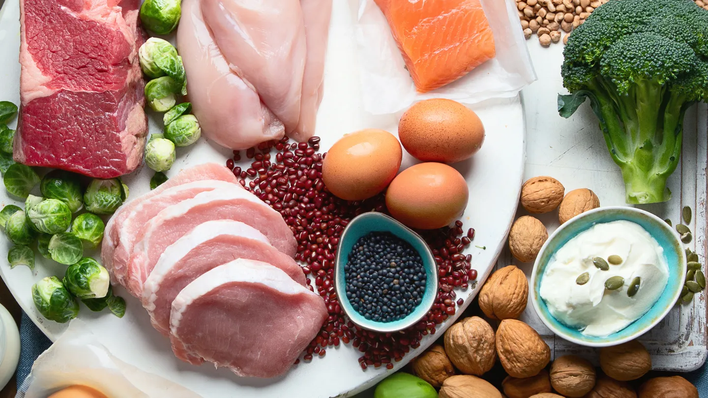 Protein Expression Level Of Tight Junction And Adherence Junction