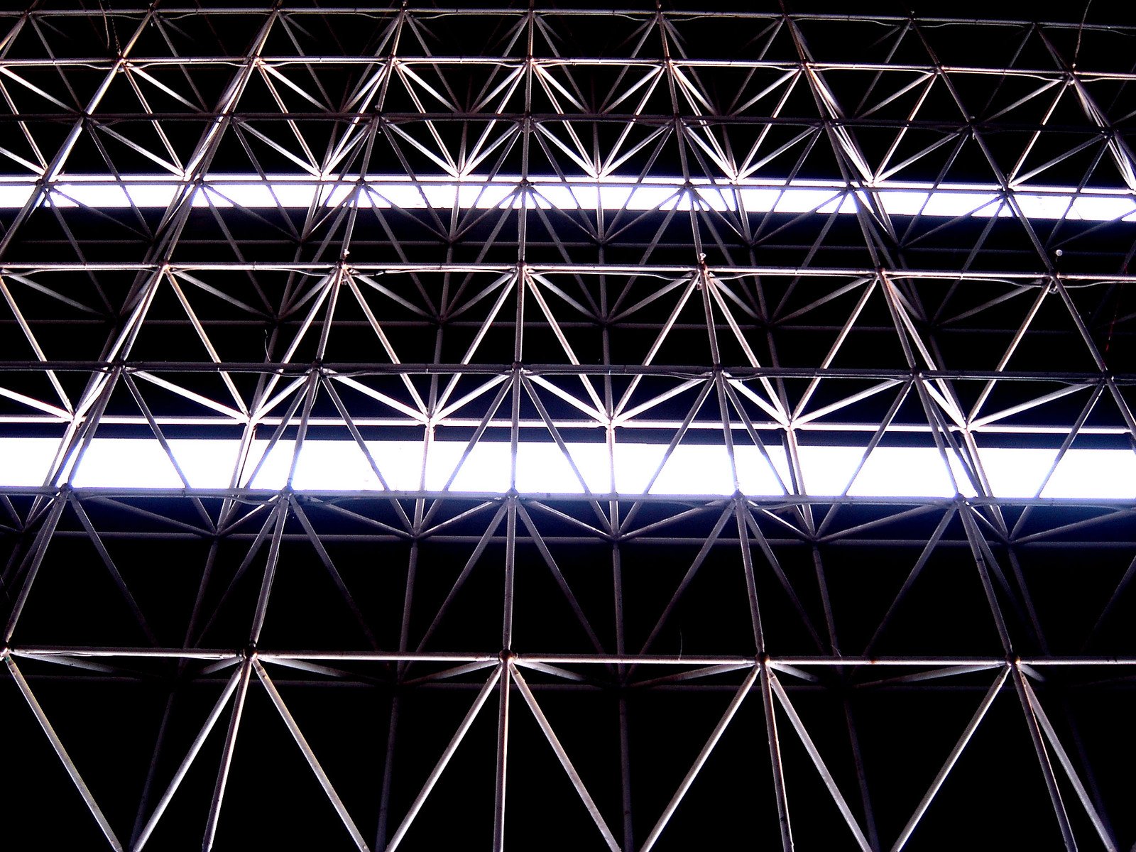 The Structure Of The Inverted Repeat And Small Single Copy Region In