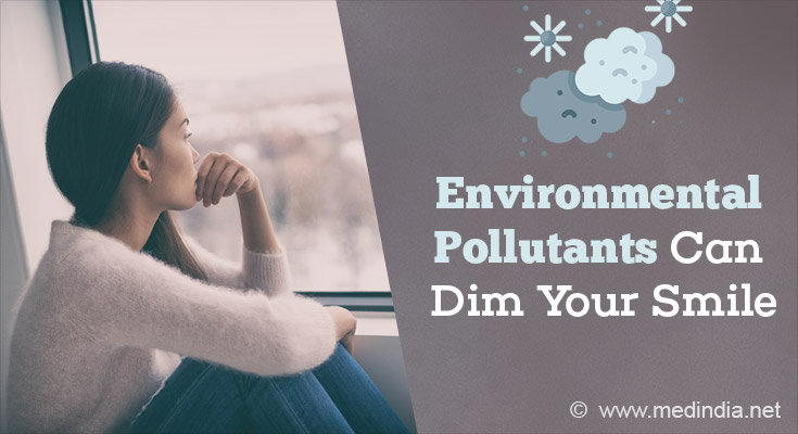 Solved How Do Environmental Factors Affect Project Impl