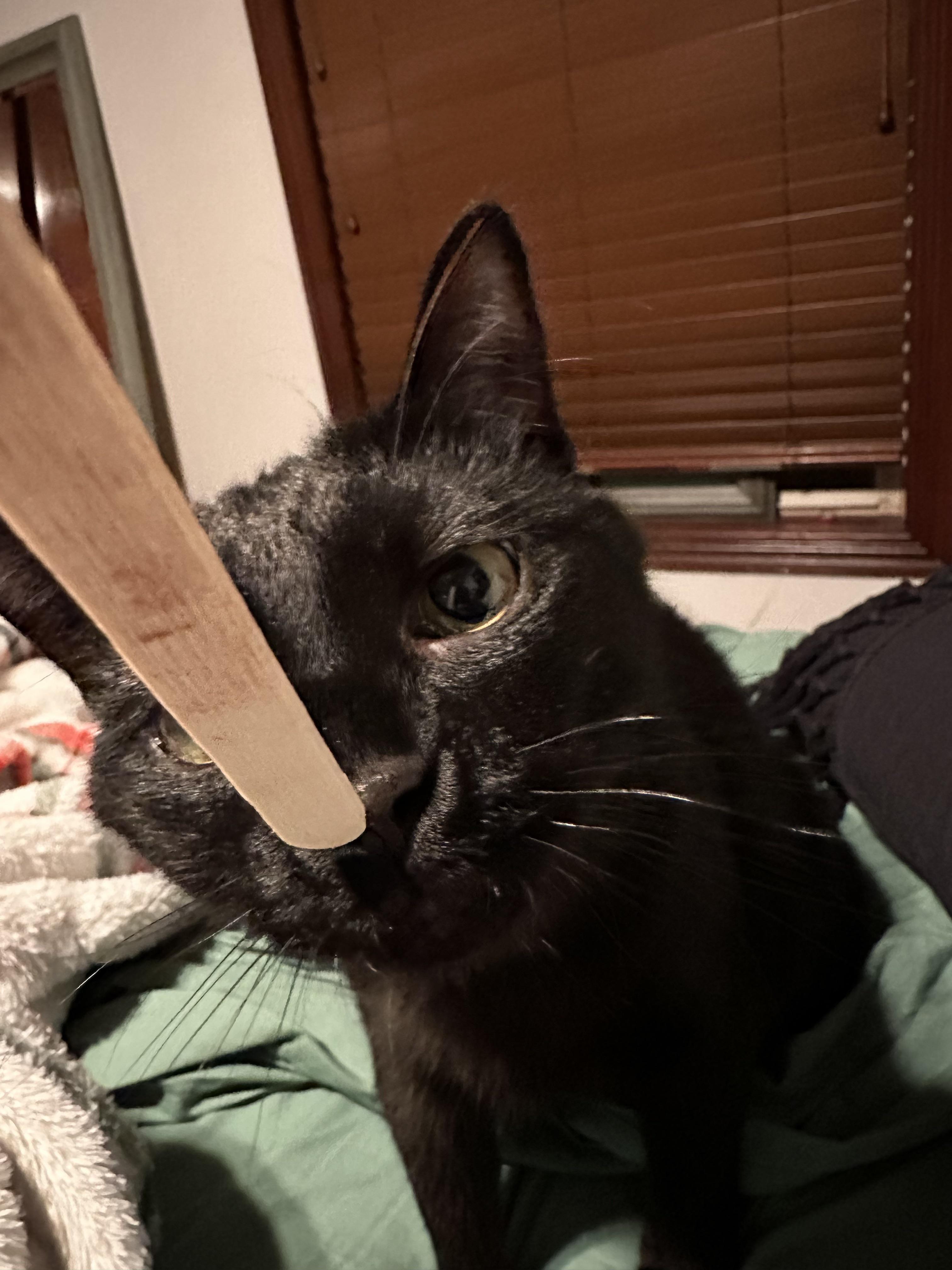 Testbinaryloggerroundtrip Test Fails When Loggers Are Also Passed To