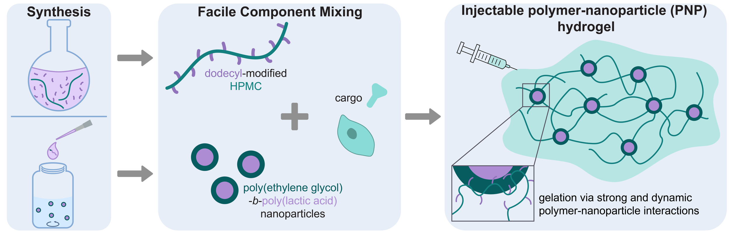 Supramolecular Hydrogels Synthesis Properties And Their Biomedical