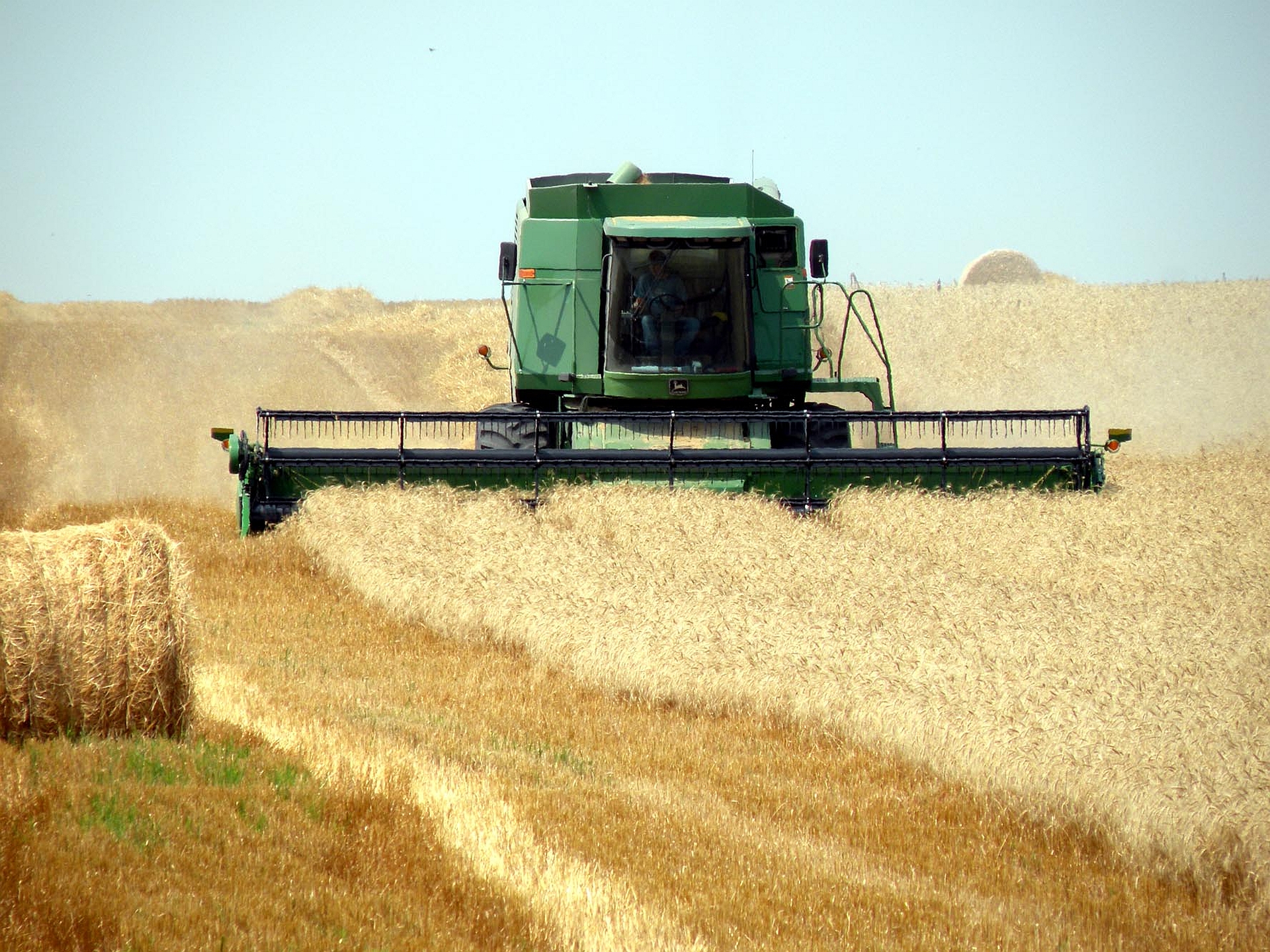 Combine Bending Shear Eigenplus