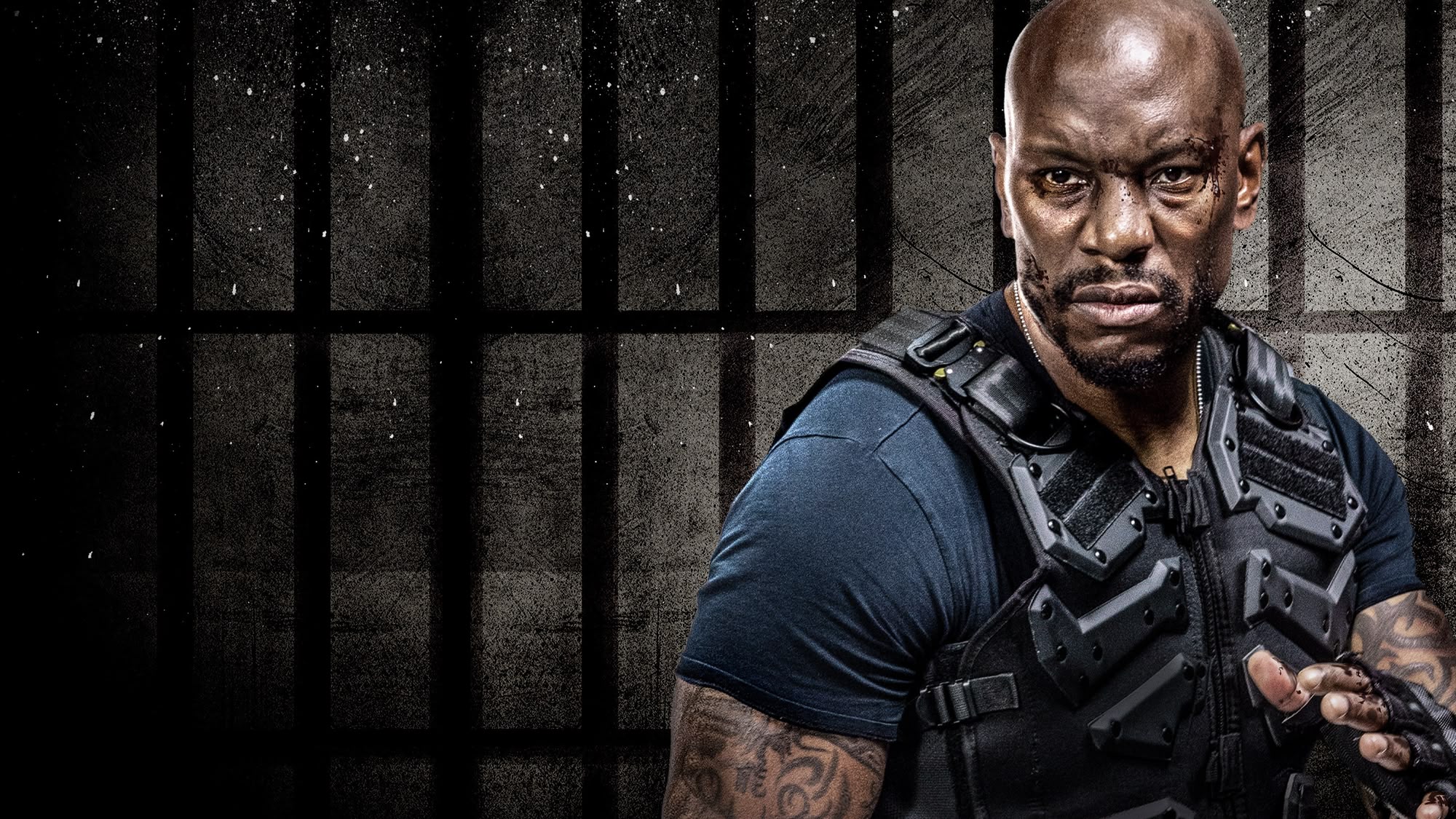 System For Assisted Sperm Morphology Assessment Download Scientific