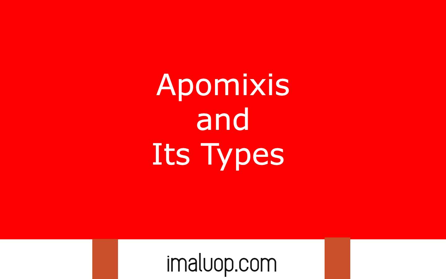 Apomixis Ppt