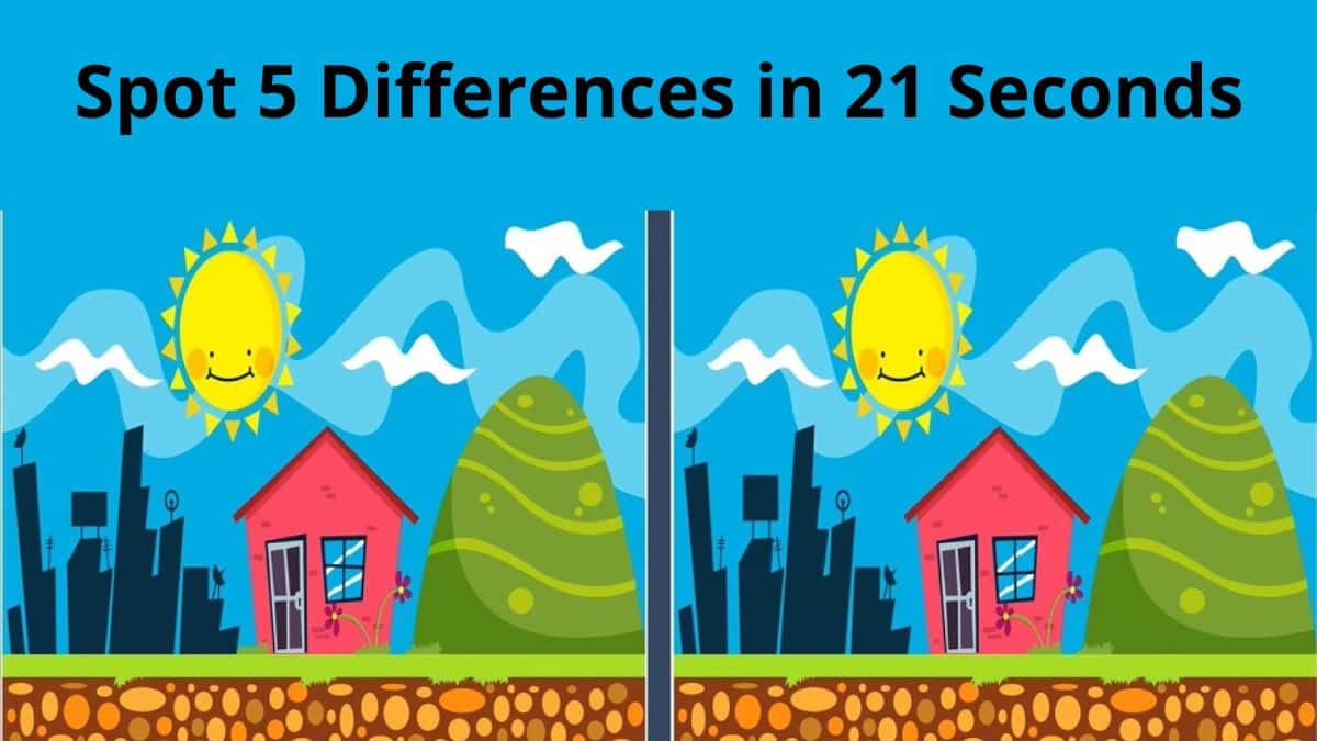 2 Differences Between Plant And Animal Cells