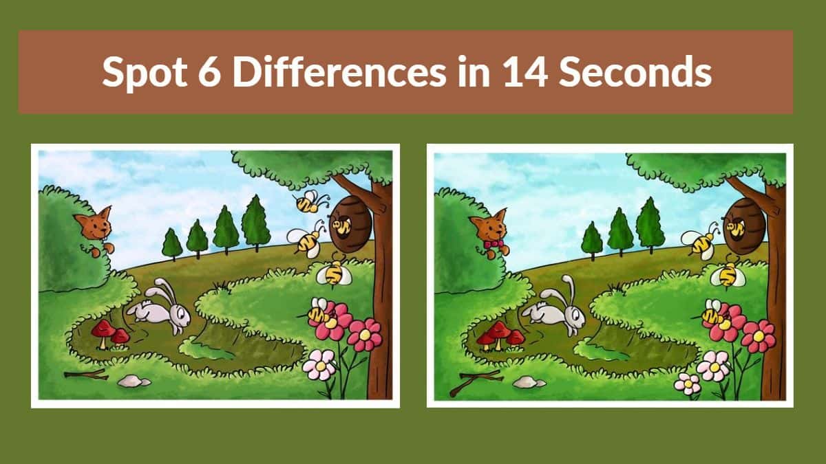differences games 