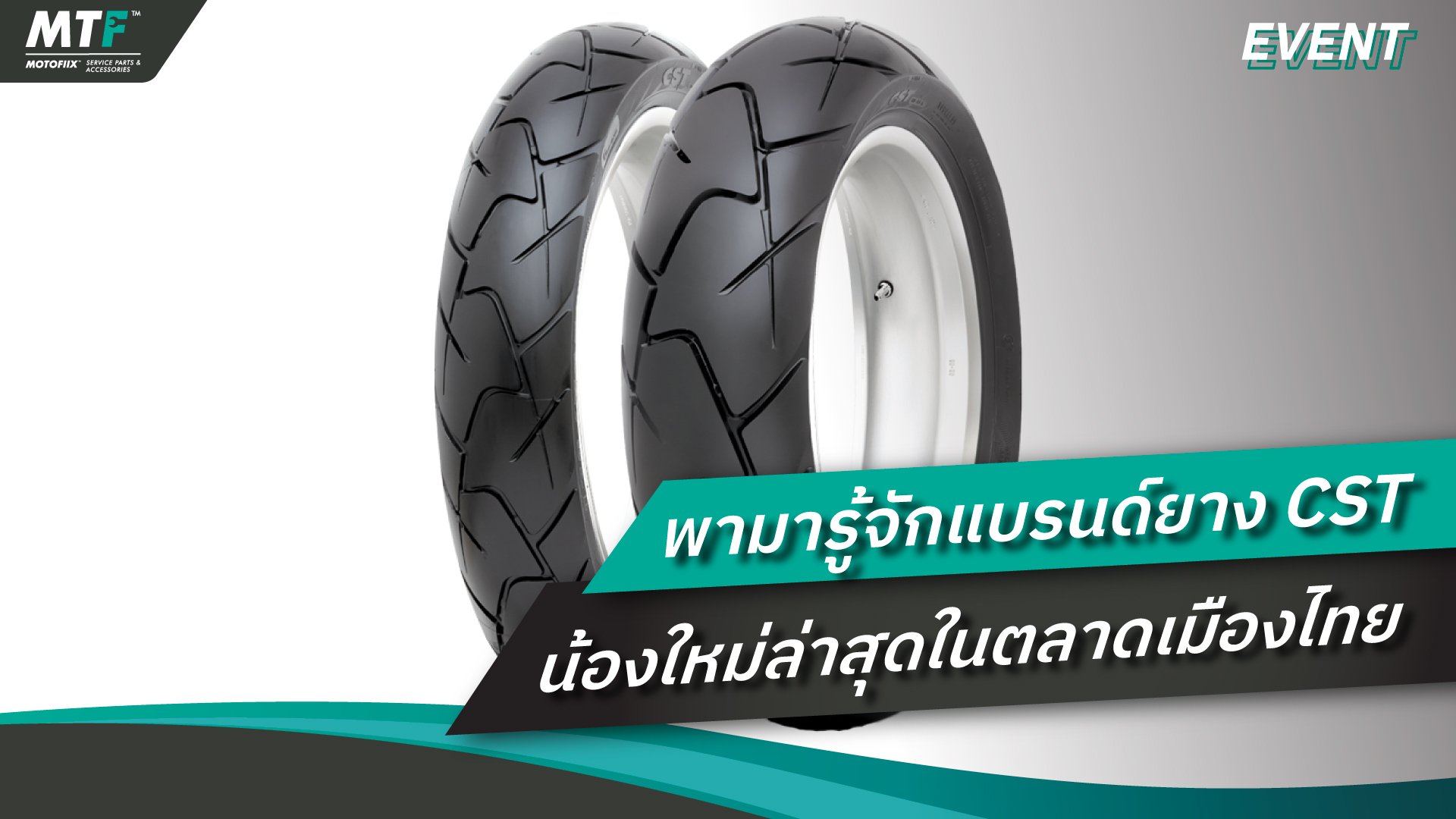 Cst T Cell Receptor Signalling Pathway