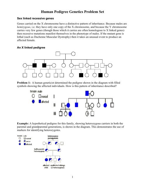 Genotypes And Phenotypes Worksheet Genetics Mendelian Genetics