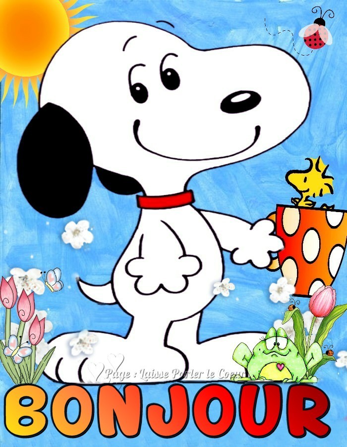 Bonjour Pouvez M Aider S Il Vous Plaît Nosdevoirs Fr