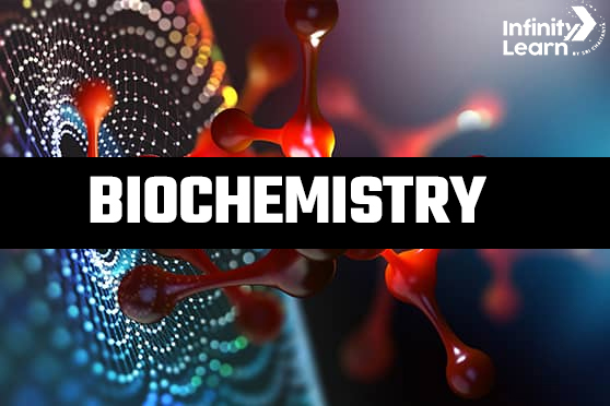 Biochemistry Difference Between Negative Allosteric Regulation And