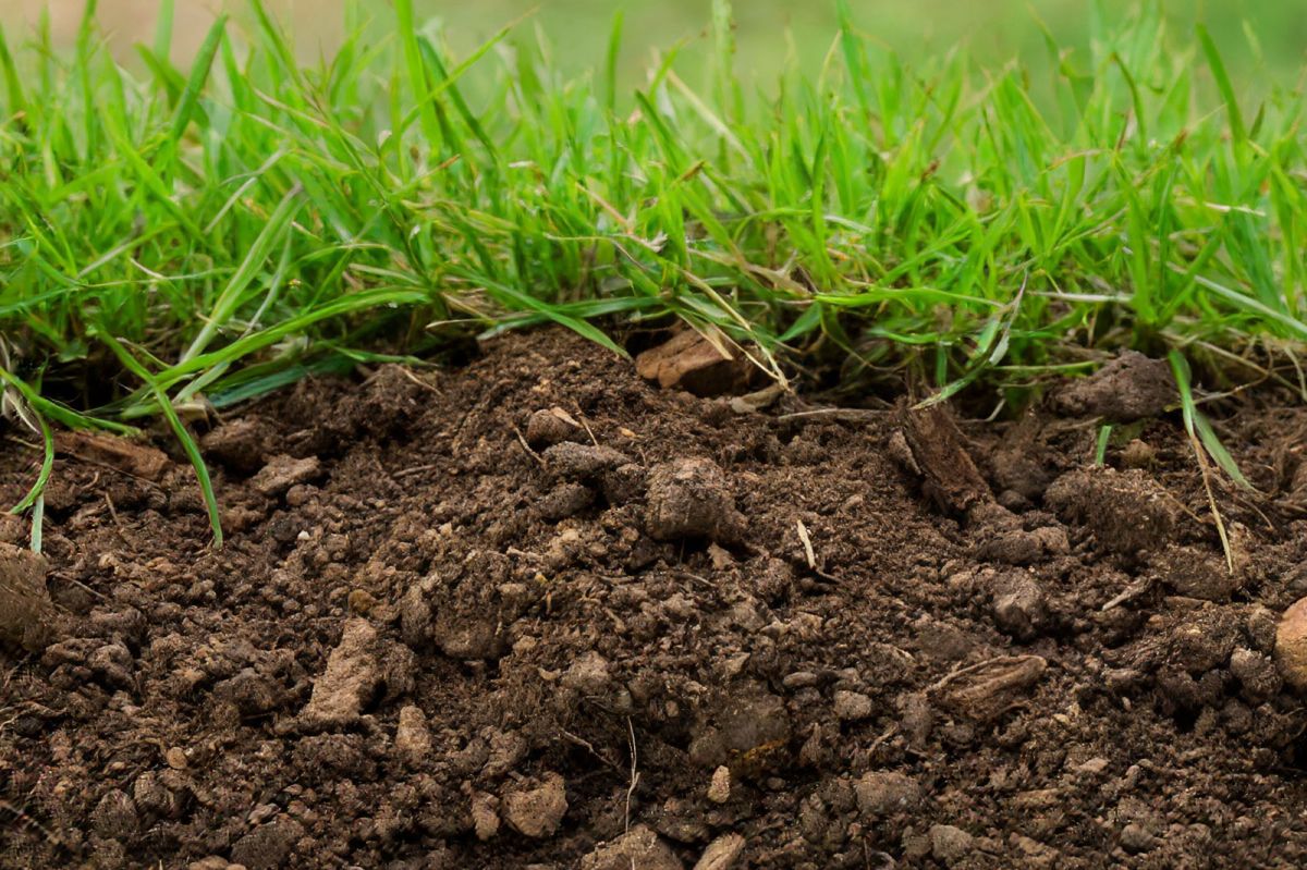 Soil And Water Interactions Agriculture Optional Notes For Upsc Pdf