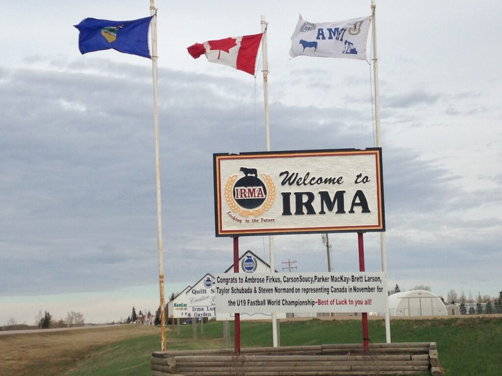 Irma International Org International Journal Of Nanotechnology And