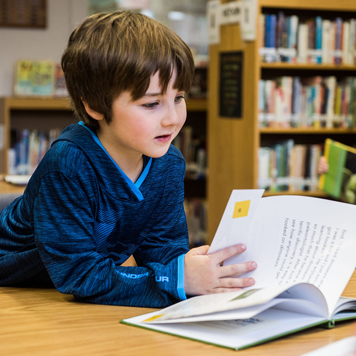 Reading Interest Rates And Capital Macroeconomics