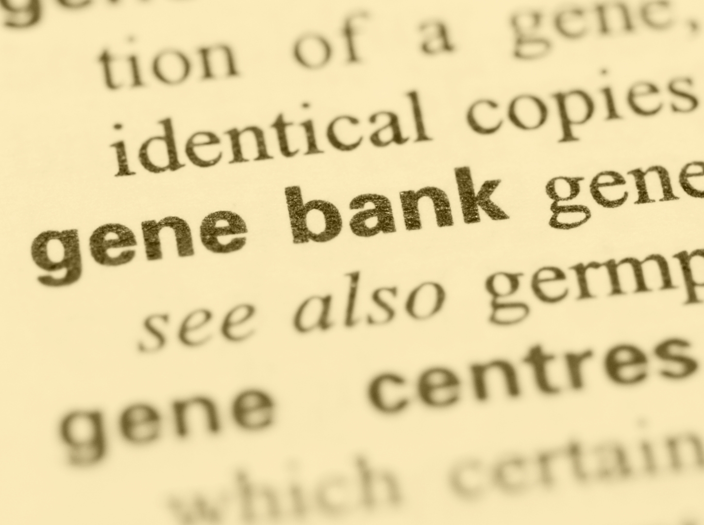 Calr Gene Genecards Calr Protein Calr Antibody