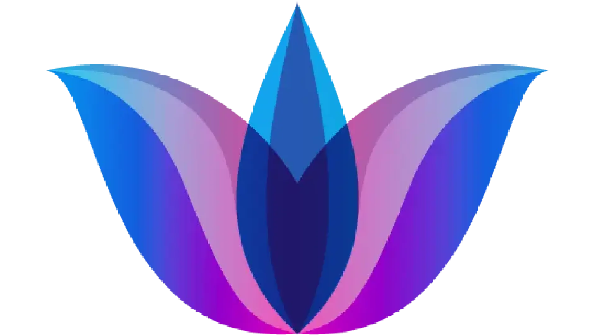 Lotus Asset Management - Personalized Investment Portfolios